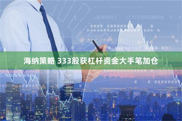 海纳策略 333股获杠杆资金大手笔加仓