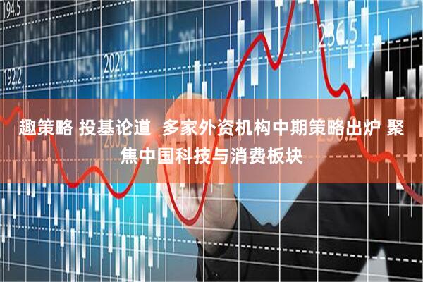 趣策略 投基论道  多家外资机构中期策略出炉 聚焦中国科技与消费板块