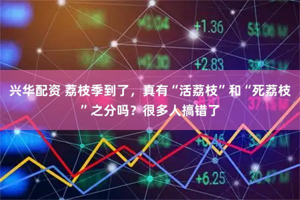 兴华配资 荔枝季到了，真有“活荔枝”和“死荔枝”之分吗？很多人搞错了